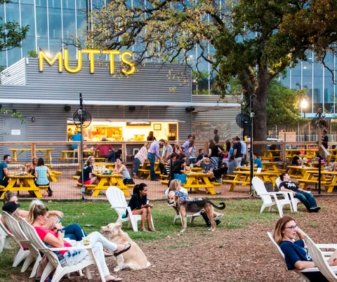 Mutts Cantina | Dallas | Dog-friendly | Dog Parks| Dog activities