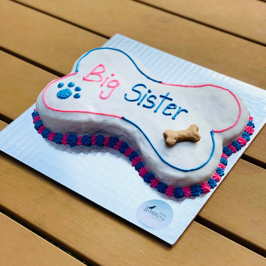 Gender Reveal | Dog Cake