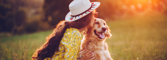 Paw-some Summer Fun in Dallas