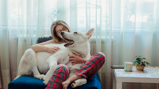 Date Night Ideas With your Pup in Dallas, Texas
